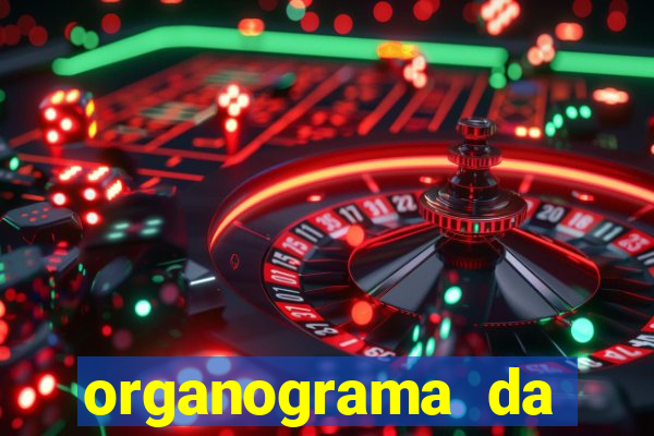organograma da cacau show